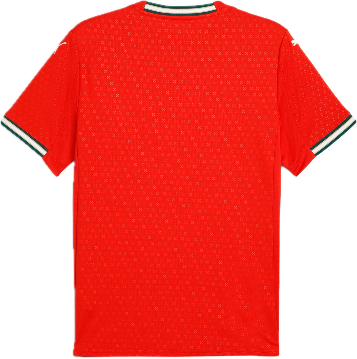 Portugal 2025 Home Jersey