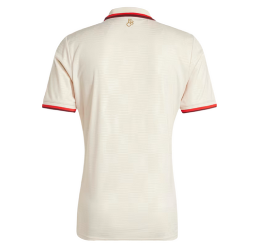 FC Bayern 24/25 Third Jersey